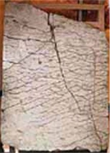 La Pierre de Dashka: 
Cette dalle représenterait une carte en relief de l'Oural, 
établie il y a plusieurs dizaines de millions d'années.